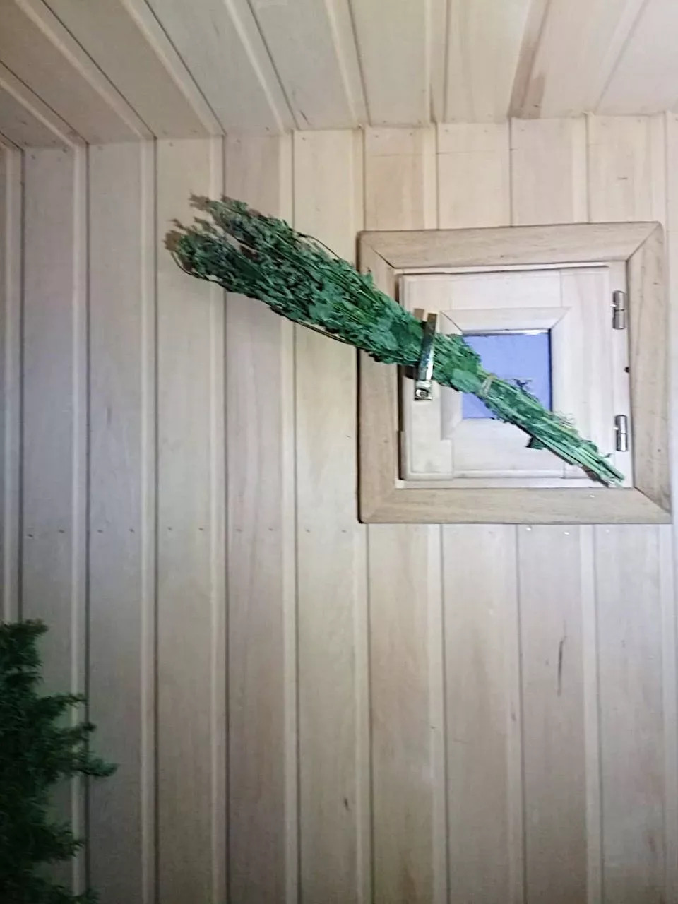 Анис